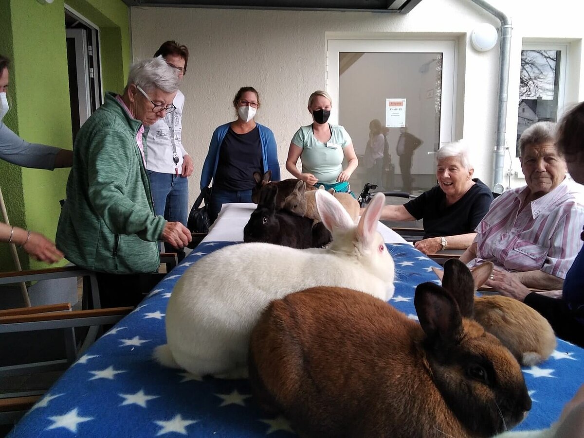 Kaninchen zu Besuch im Seniorenheim Bönen-Königsborn