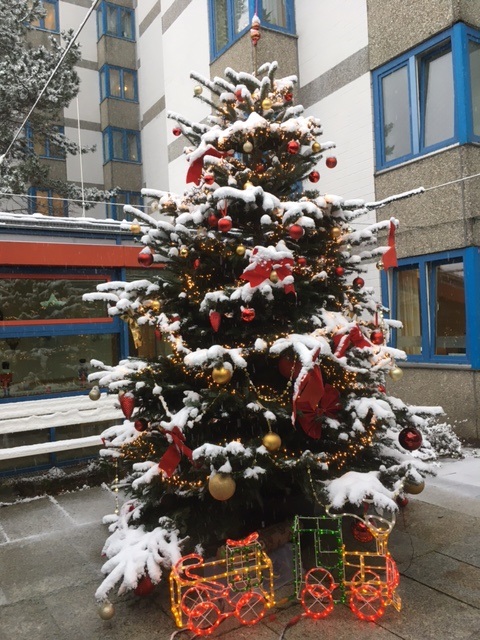 Festlich geschmückter Weihnachtsbaum mit Schnee vor dem Seniorenheim "Kurt-Exner-Haus" in Berlin