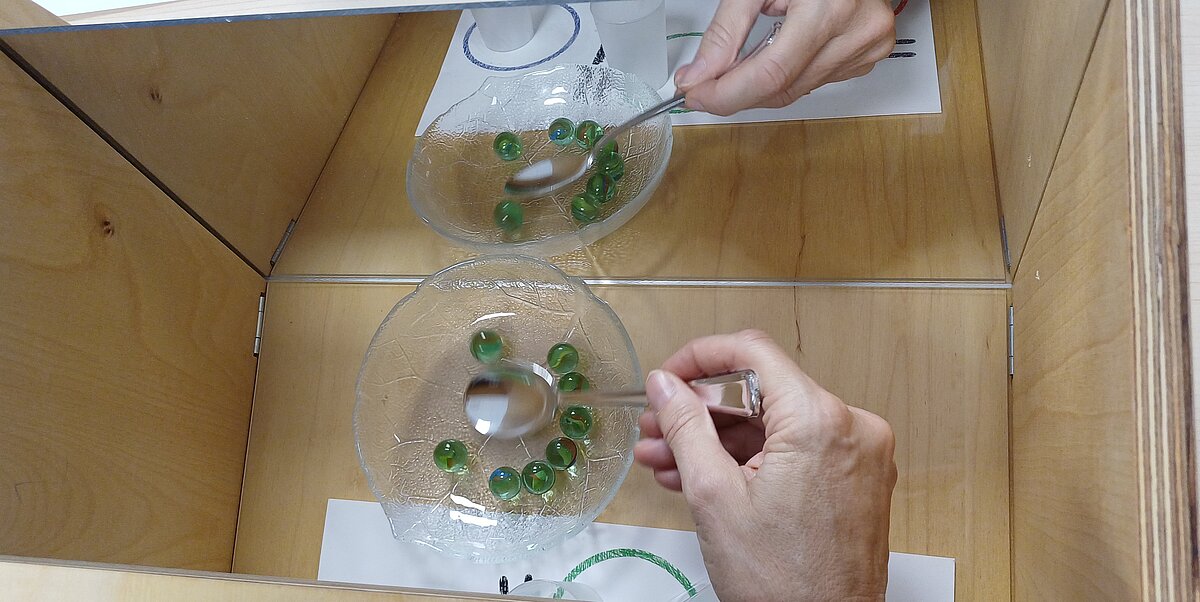 Fortbildung Betreuung 2025: Nur vom Standort Zwenkau zu nutzen.  Eigentümer hat per email zugestimmt.