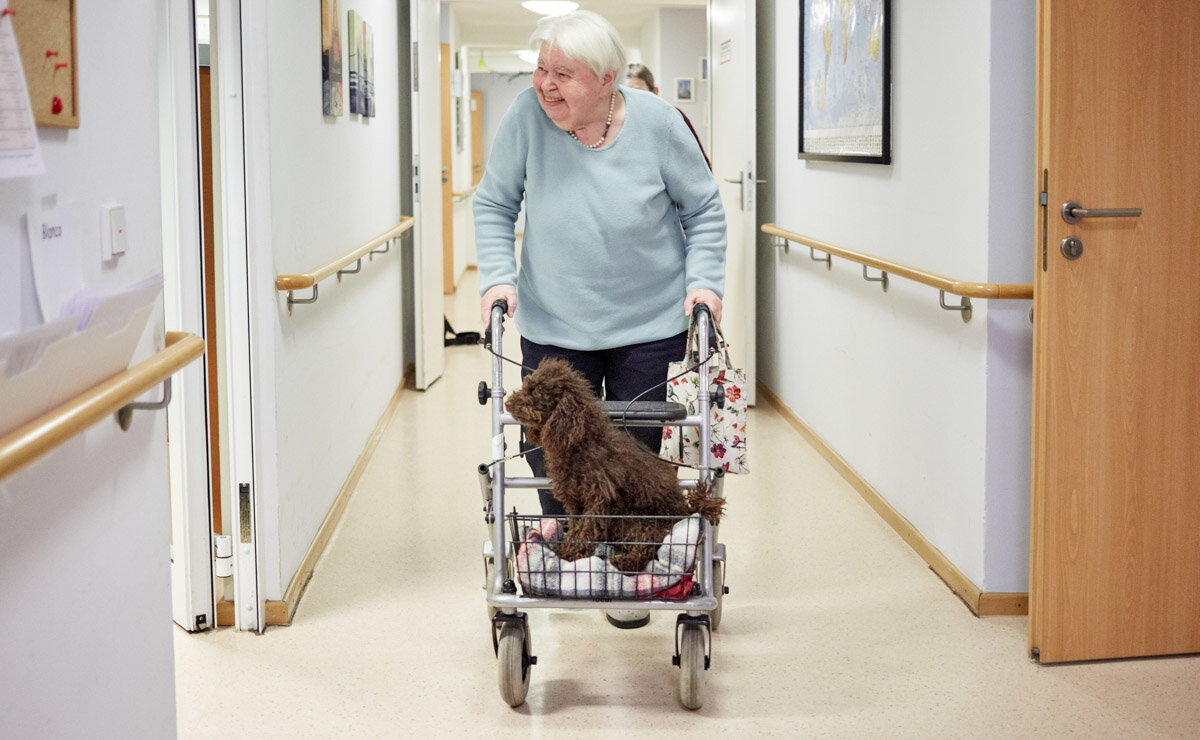 Seniorin läuft mit Rollator und Therapiehund im Flur eines Alloheim Pflegeheims