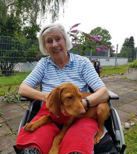 Bewohnerin im Rollstuhl mit Hund auf dem Schoß vor der Alloheim Senioren-Residenz "Siloah"