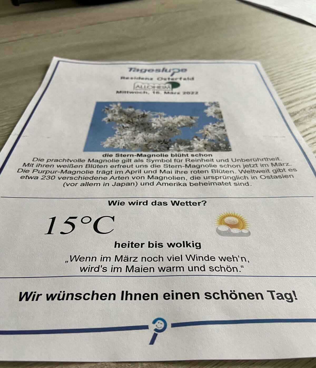 Flyer "Tageslupe" mit Informationen für die Bewohner des Seniorenheims "Osterfeld" in Lünen