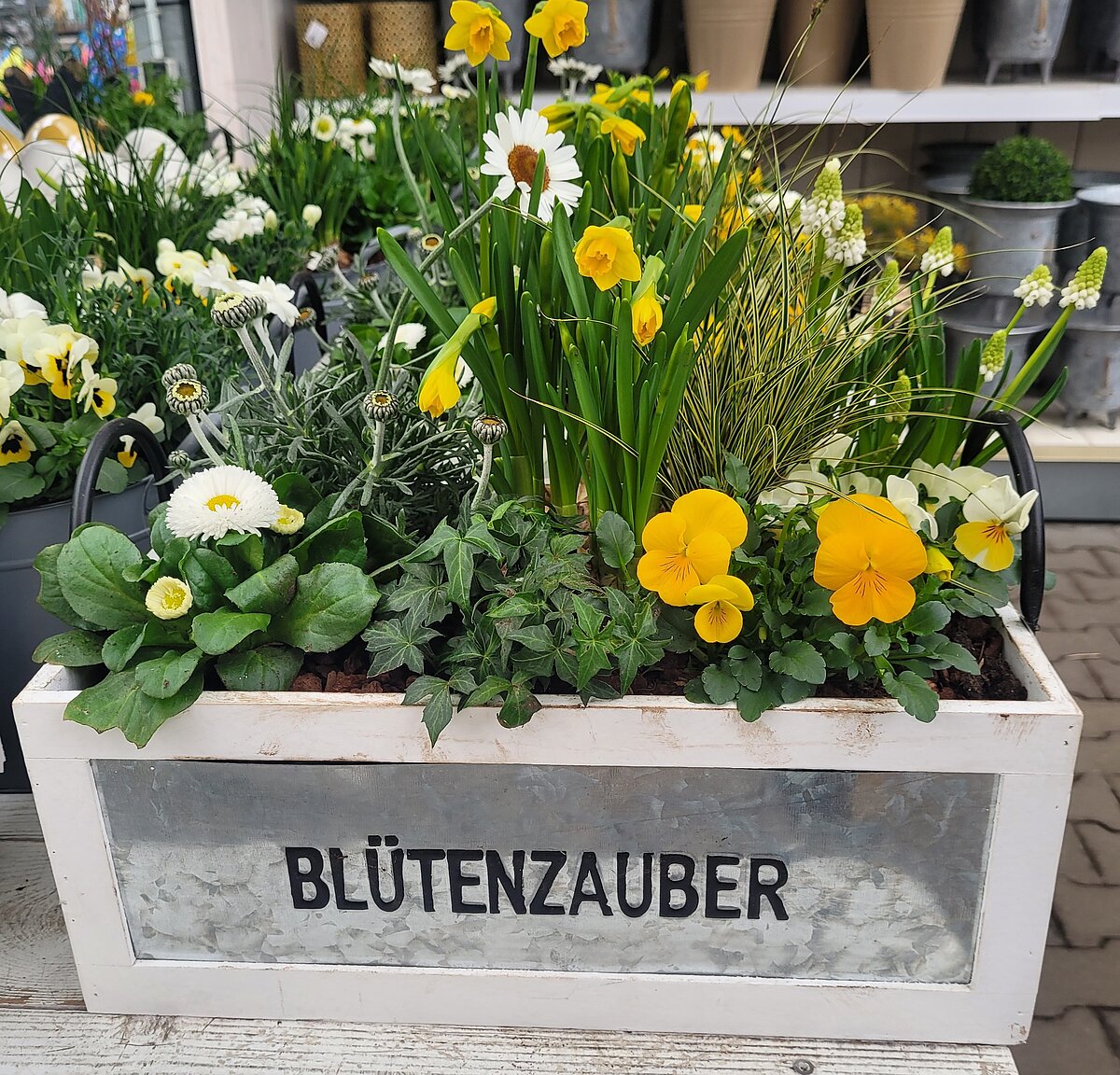 Ausflug ins Dehner-Gartencenter 