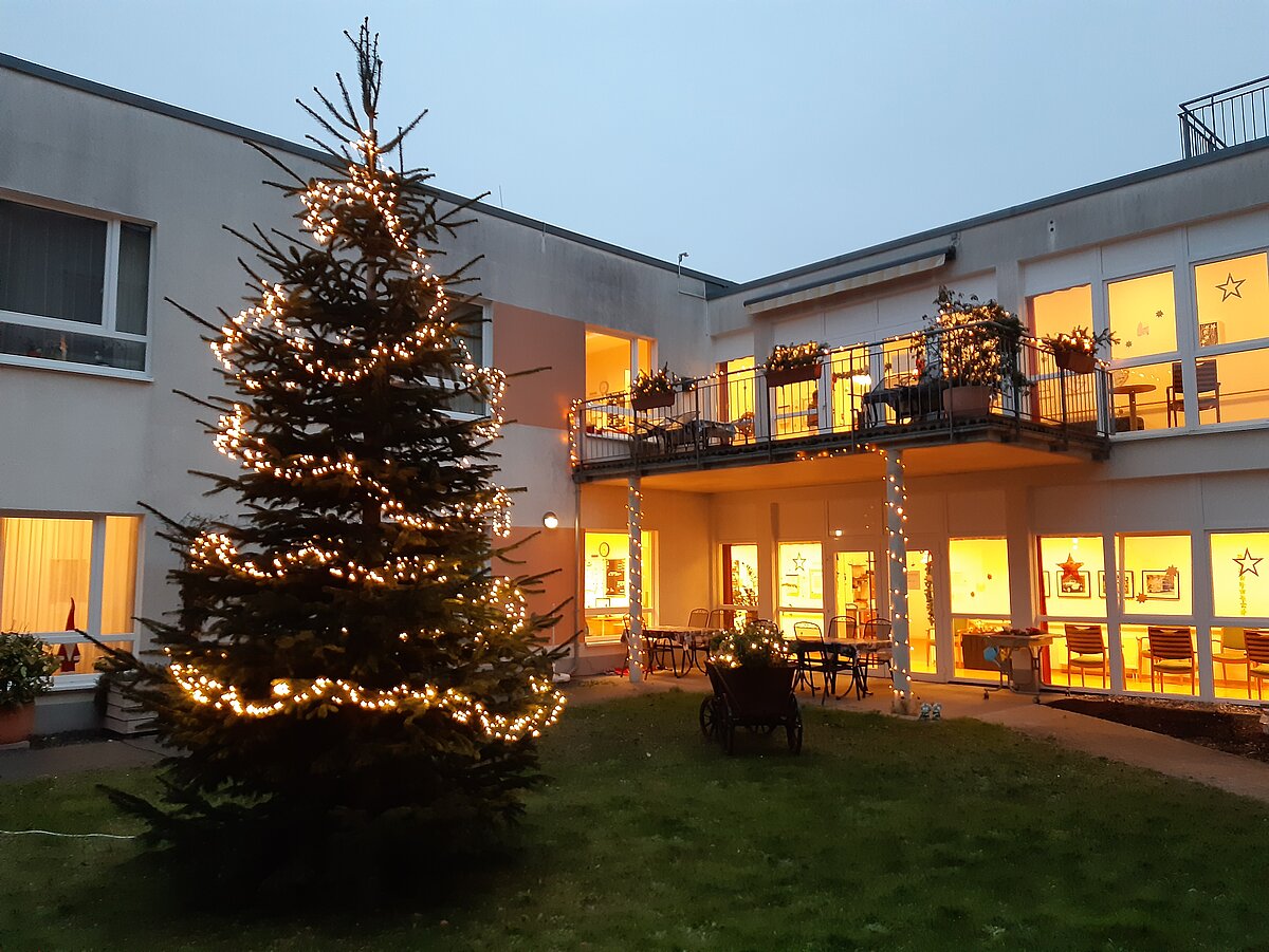 Geschmückter Weihnachtsbaum im Garten des Alloheim Altenheims Elsdorf