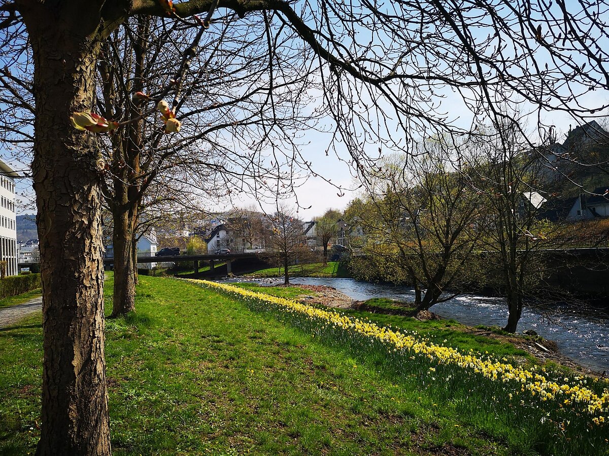 Park vor dem Altenzentrum Lindenhof in Meschede