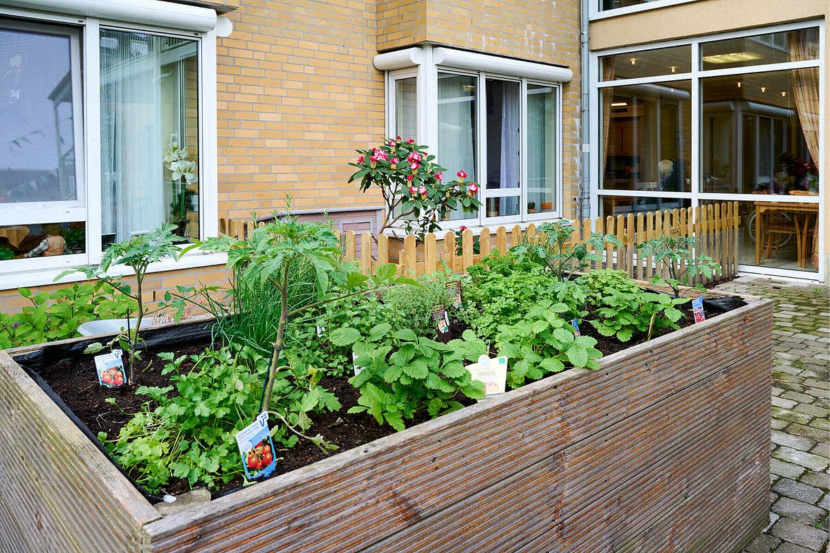 Hochbeet im Garten des Pflegeheims "Bockum" in Hamm