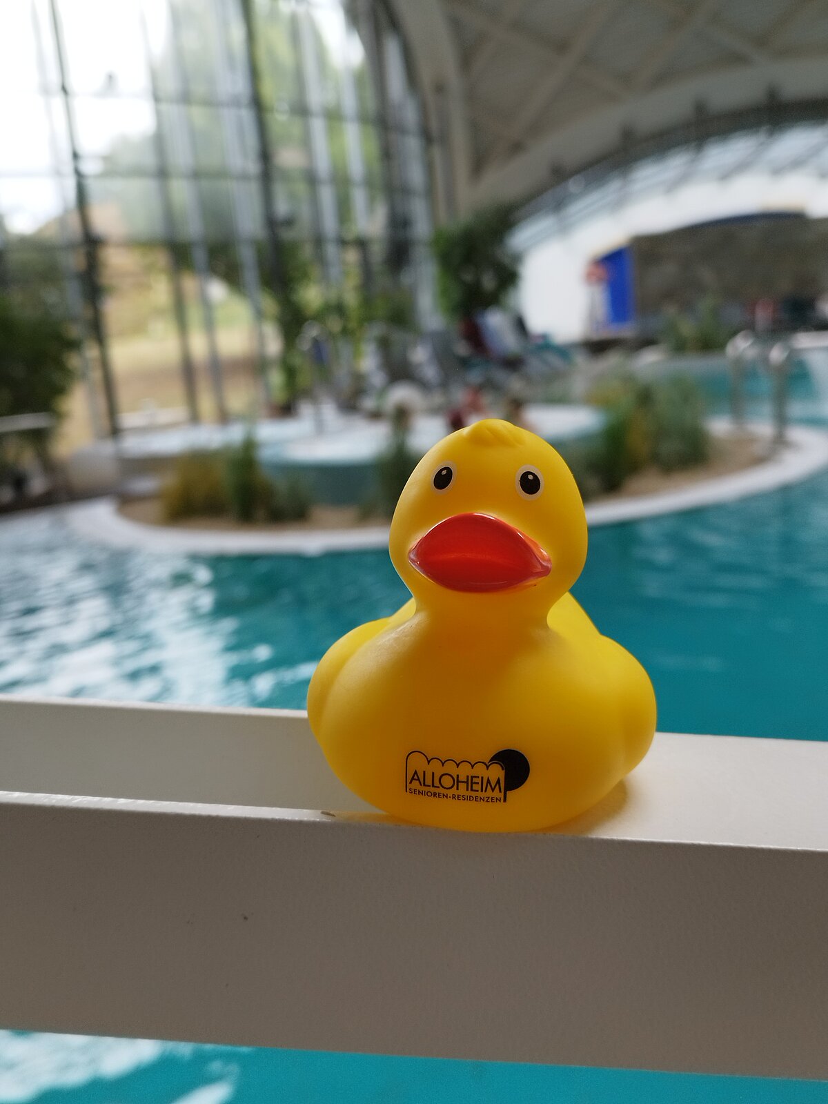 Ente im Schwimmbad. Nur vom Standort Zwenkau zu verwenden!