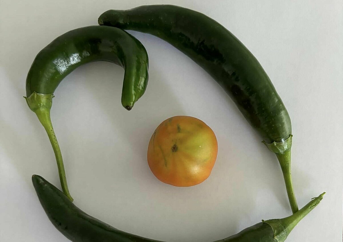 Gemüse aus dem Garten