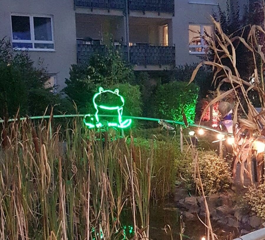 Angeleuchteter Frosch vor der Alloheim Senioren-Residenz "Jakobus-Stift An der Kreuzkirche"