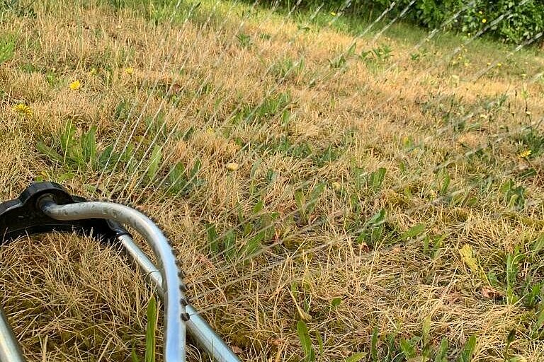 Der Rasensprenger ist bei diesen Temperaturen in vollem Einsatz.