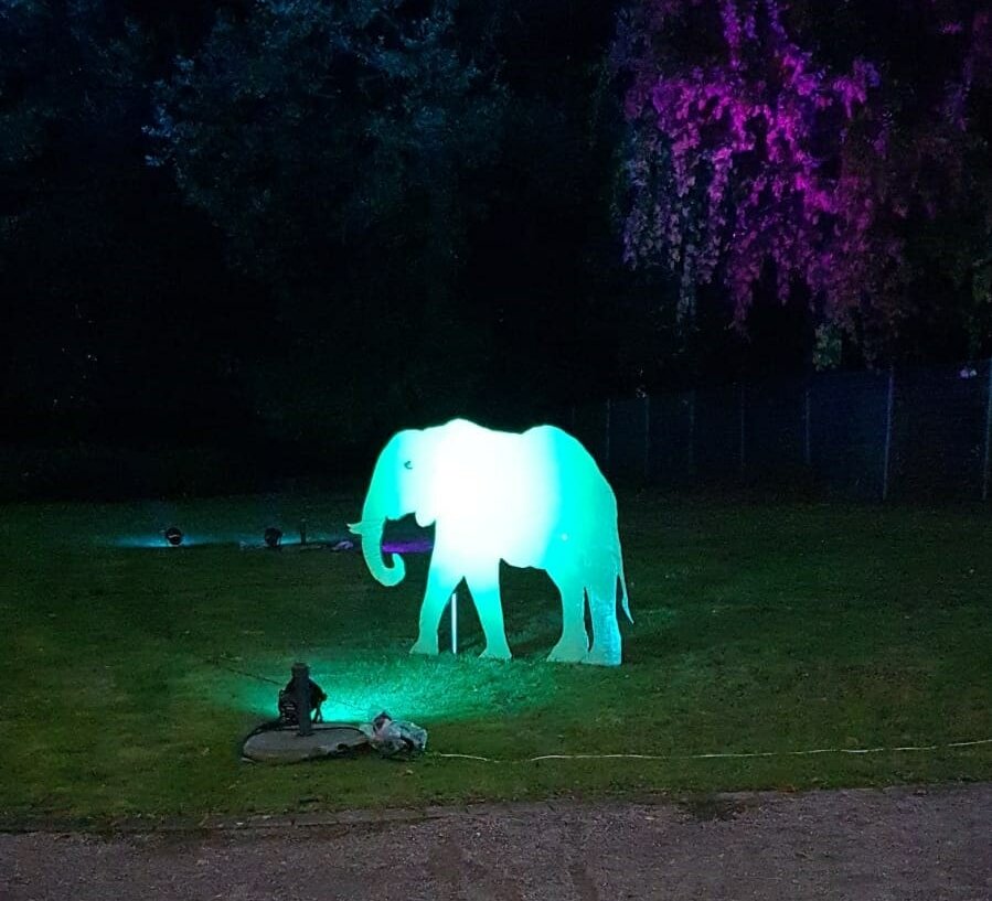 Angeleuchteter Elefant vor der Alloheim Senioren-Residenz "Jakobus-Stift An der Kreuzkirche"