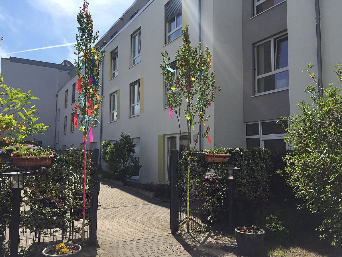 Zwei geschmückte Maibäume vor dem Seniorenzentrum AGO Trier