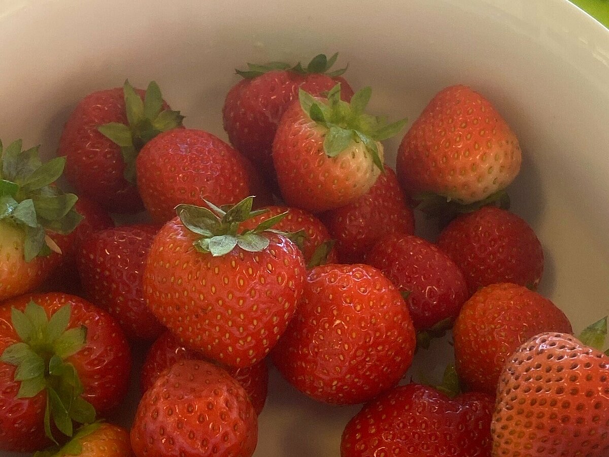 Erdbeeren zum Naschen