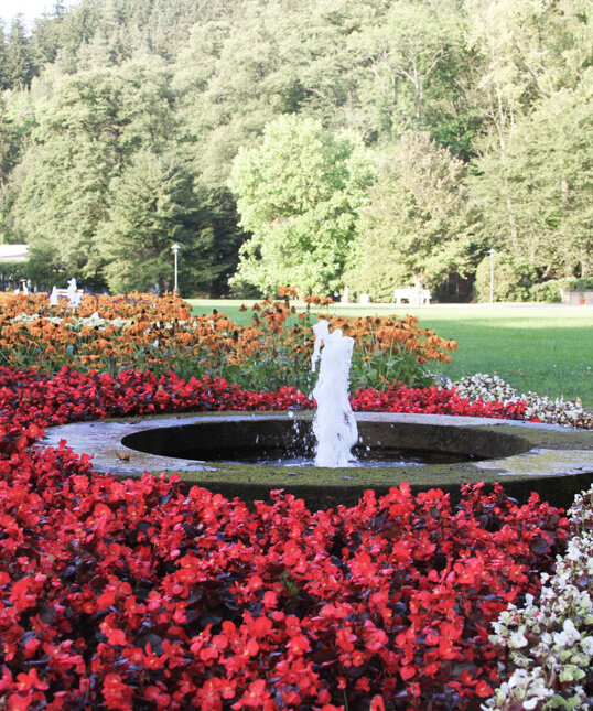 Brunnen im Garten der Alloheim Senioren-Residenz Haus am See in Bad Elster