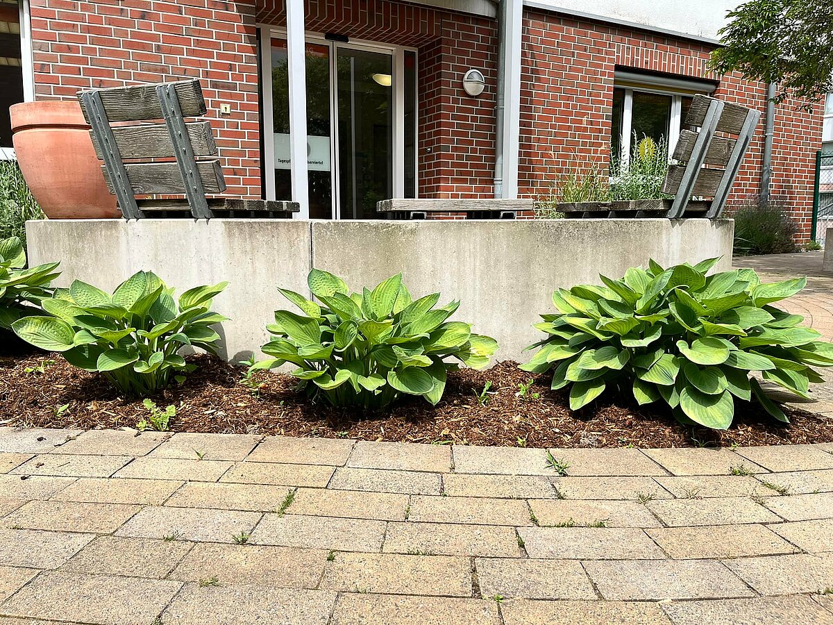 Angelegtes Beet in der Tagespflege Im Kaiserviertel in Dortmund