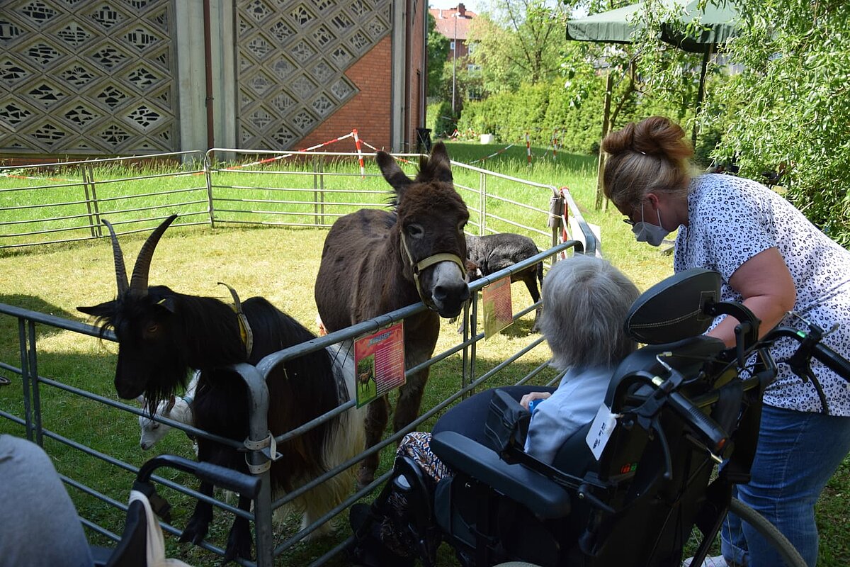 Bewohnerin und Pflegekraft bei den Eseln eines Streichelzoos im Seniorenzentrum Kapernaum in Hamburg