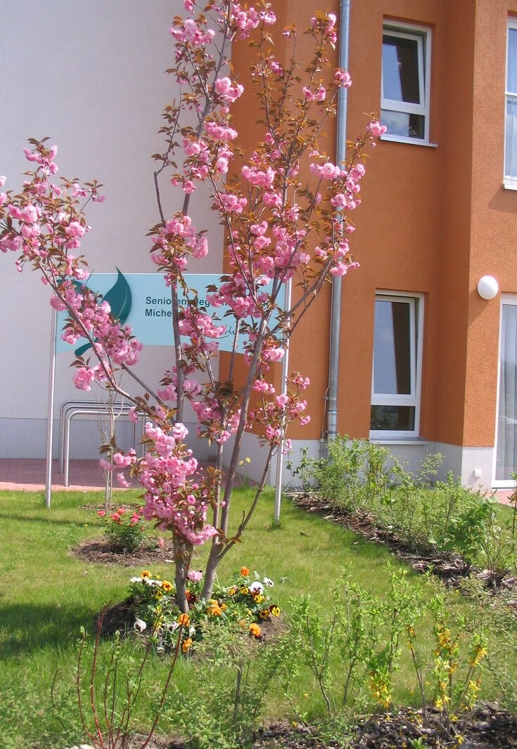 Garten in CuraHumanus Michendorf