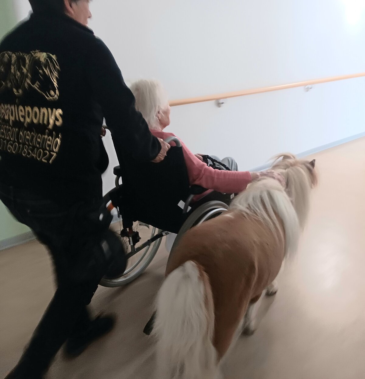 Halterin,  Bewohner, Pony laufen über Flur
