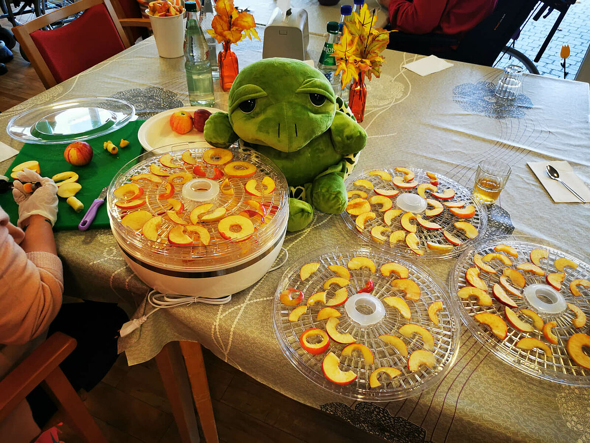 Äpfel sind zum Dörren in Küchenmaschine gelegt