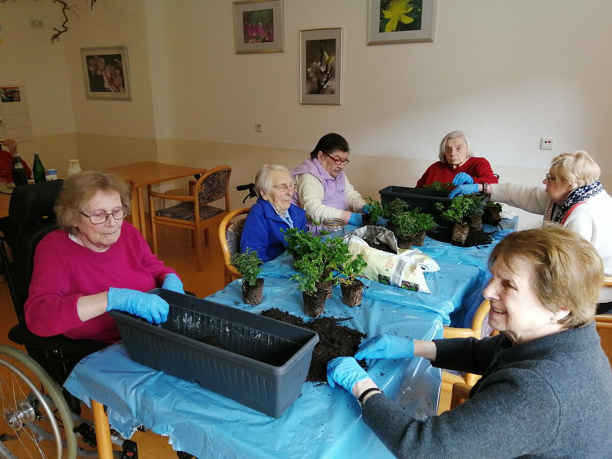 Seniorinnen pflanzen Blumen ein