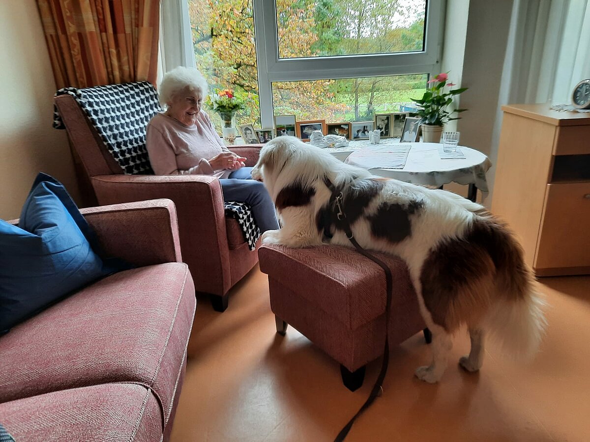 Besuchshund in Bewohnerzimmer im Seniorenheim "Kapernaum" in Hamburg-Horn