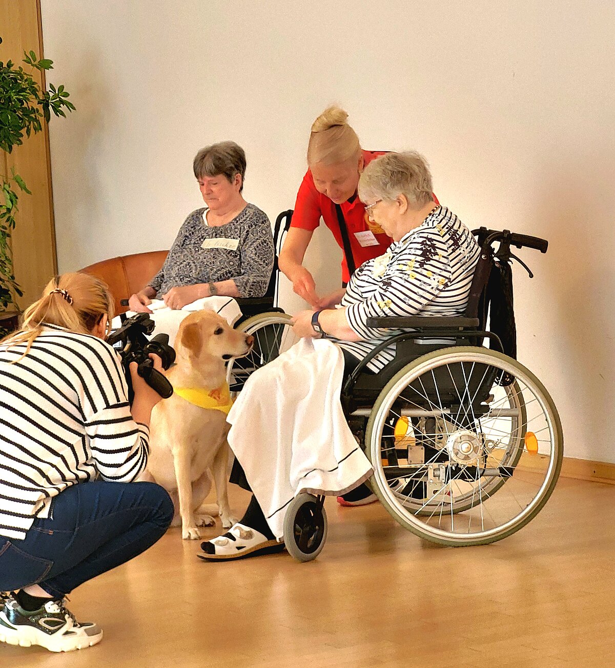 "Elisa" in der Sendung " TierZuLiebe" im Ingolstadt TV