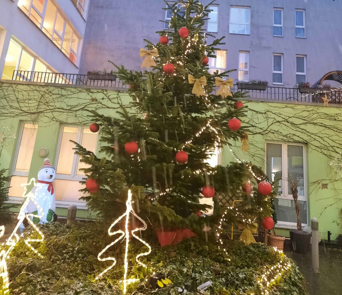 Weihnachtsbaum im Innenhof der Residenz Aaseehof in Münster