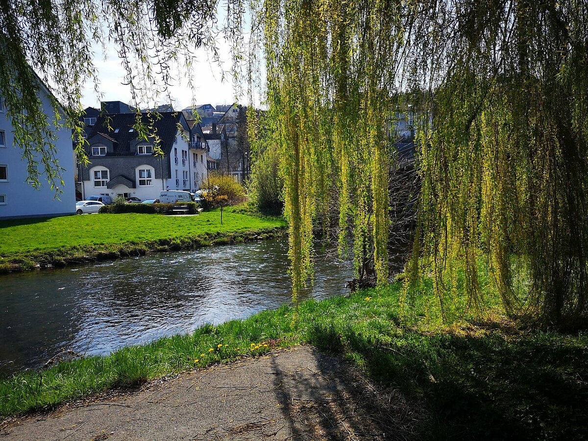 Blick ins Grüne und zum Fluss vom Altenzentrum Lindenhof in Meschede