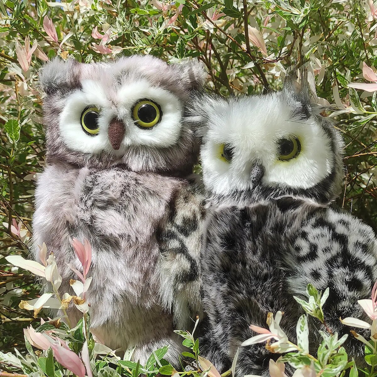 Maskottchen der Senioren-Residenz: Albert und Lotte