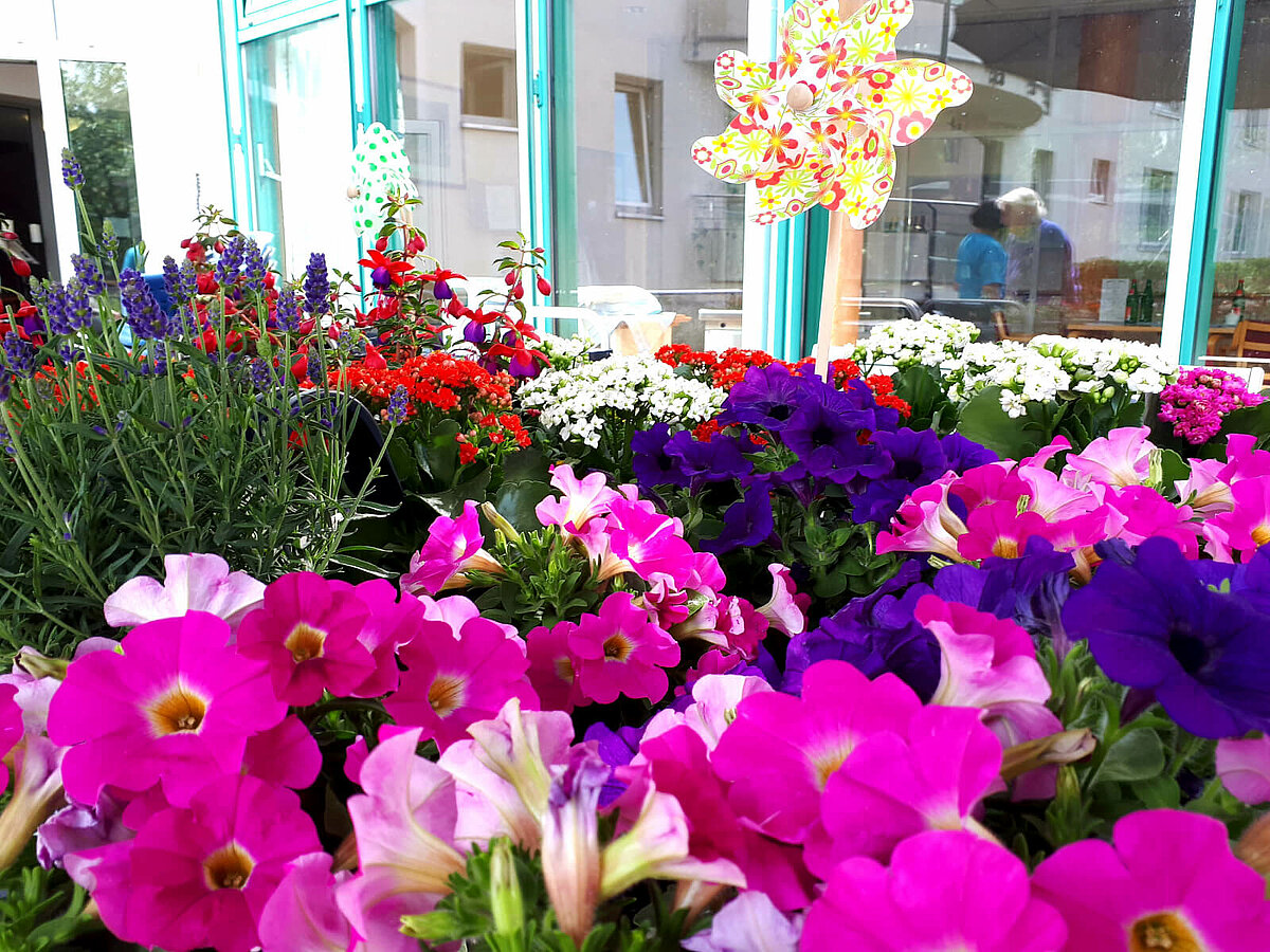 Blumen vor der Senioren-Residenz Waldersee in Lübeck