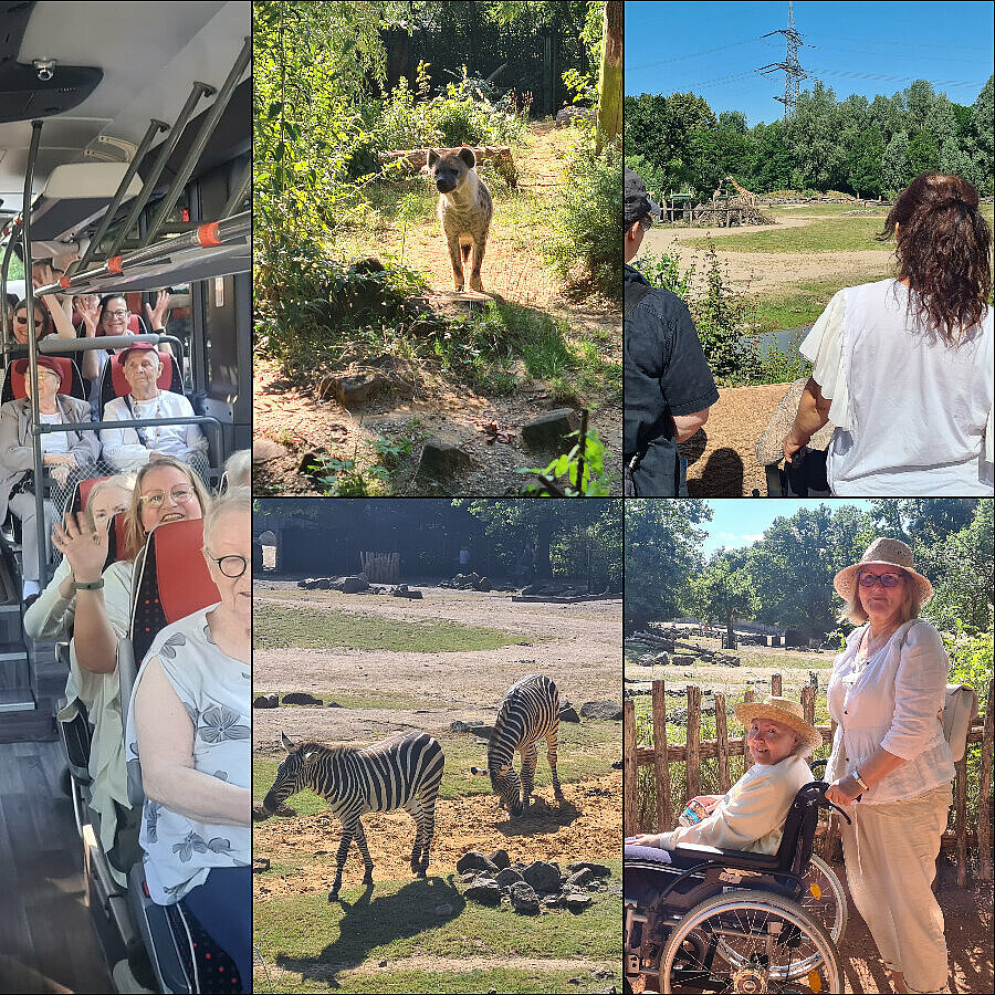 Collage Ausflug