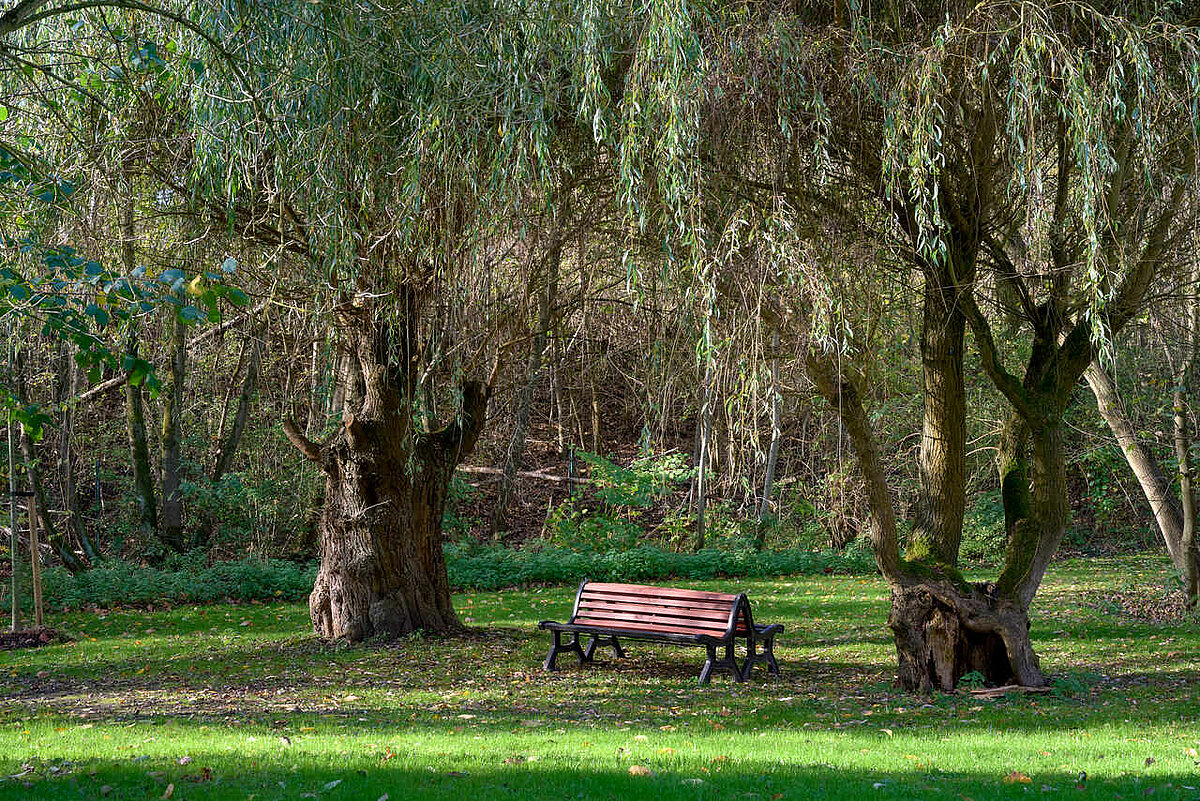 Gartenanlage Seniorenheim Dortmund