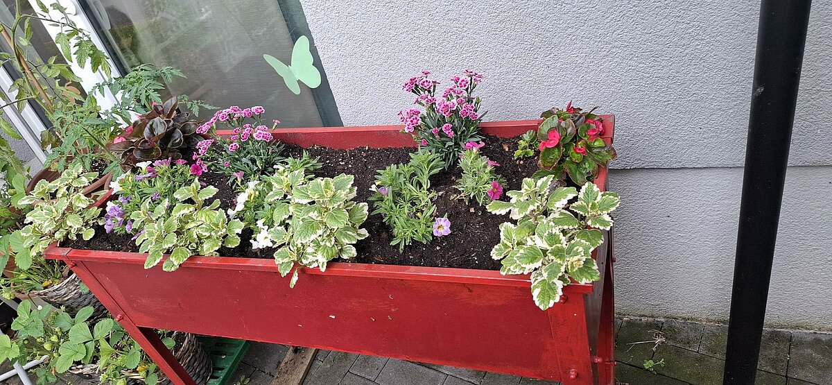 Gartenarbeit in der Senioren-Residenz Nussberg