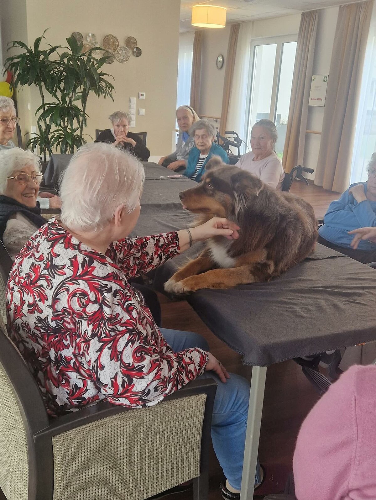 Keks und die Bewohner