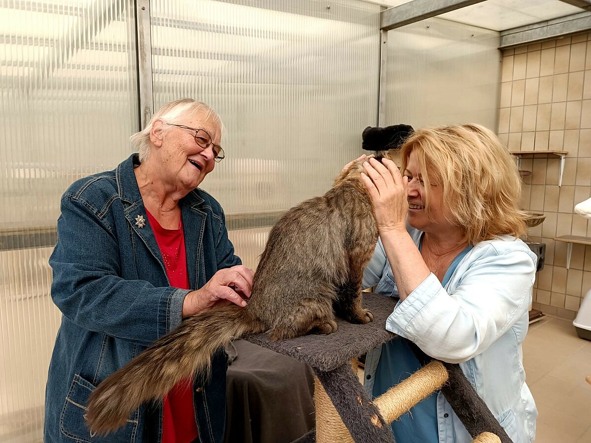 Bewohnerin beim Katzestreicheln