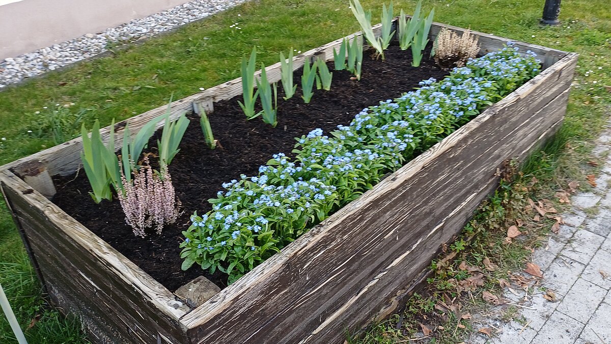 VERGISS?MEIN!NICHT 2026