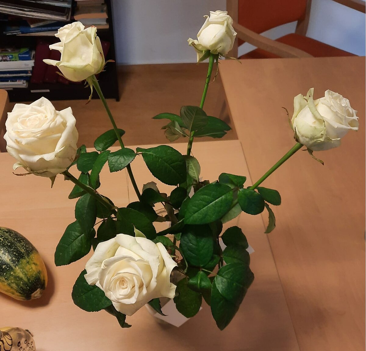 Weiße Rosen an Allerheiligen im Pflegeheim Aaseehof in Münster