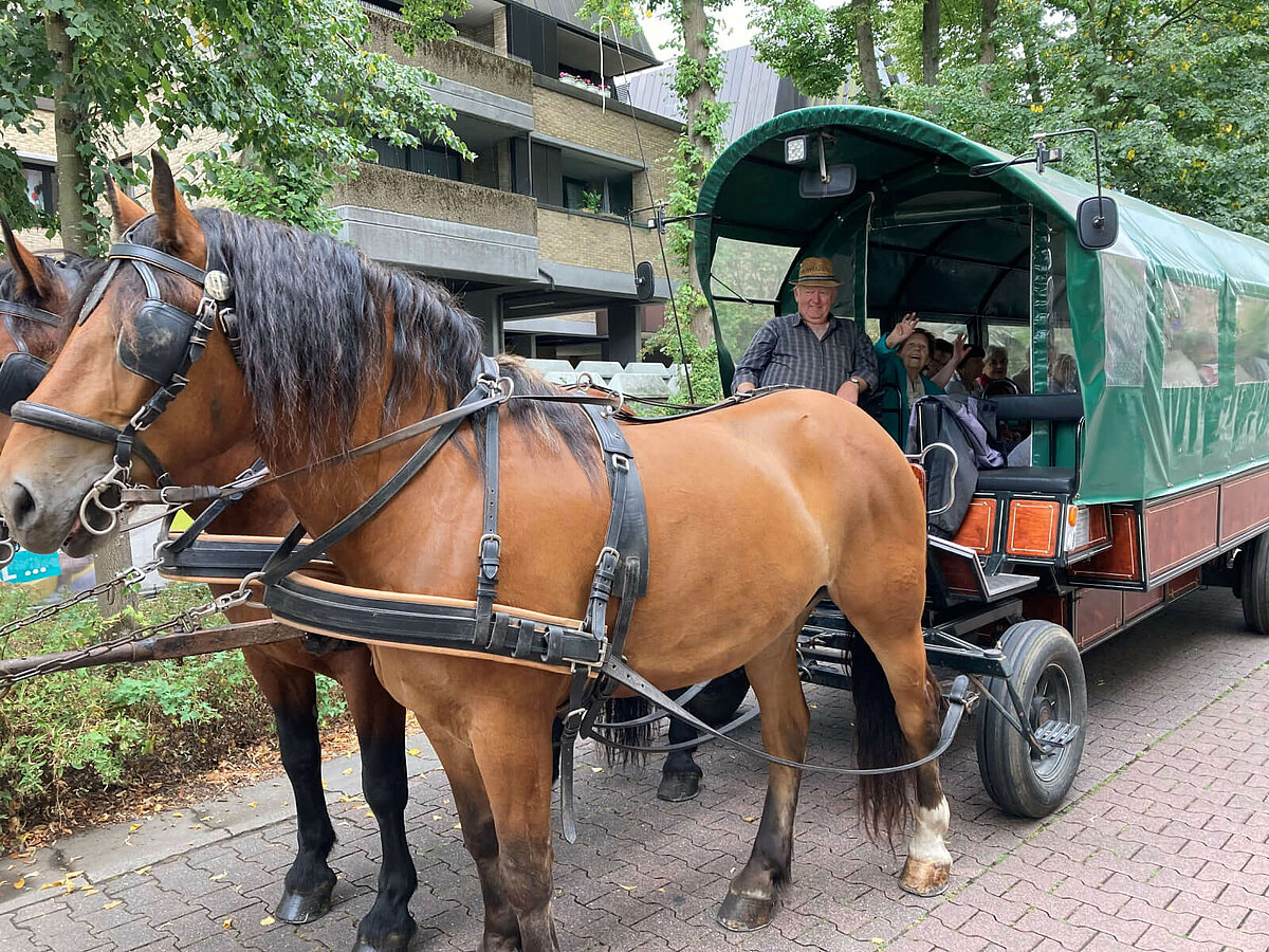 Planwagentour durch Warendorf - August 2022