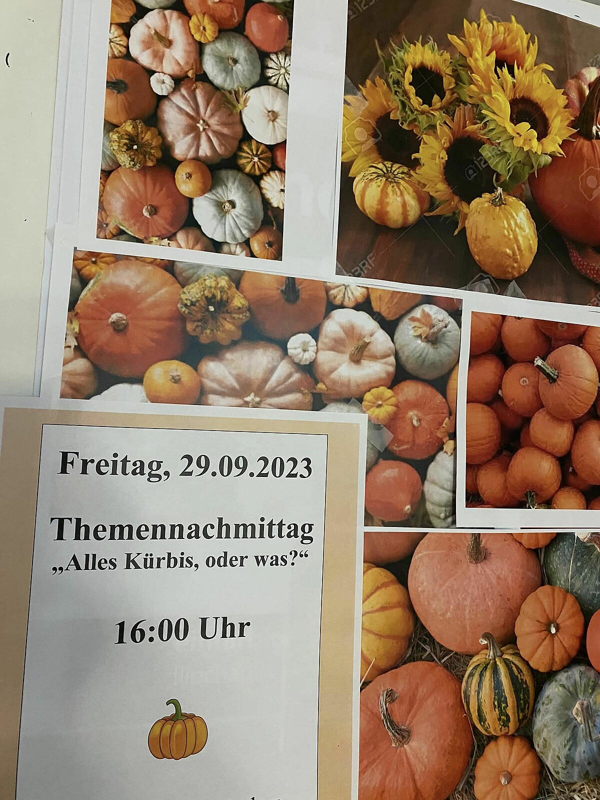 Plakat Alles Kürbis oder was?