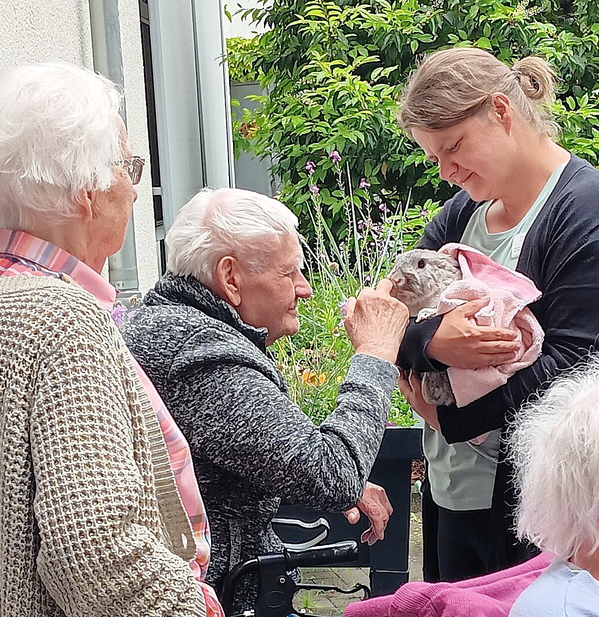 Bewohner streicheln Kanninchen