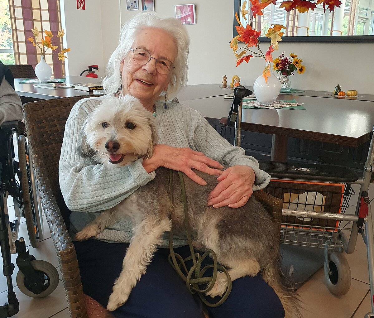 Hundesportverein Kornwestheim 