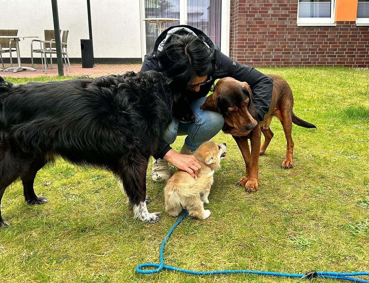 Hier ein Teil unserer Hundebande mit unserer Qualitätsbeauftragten 