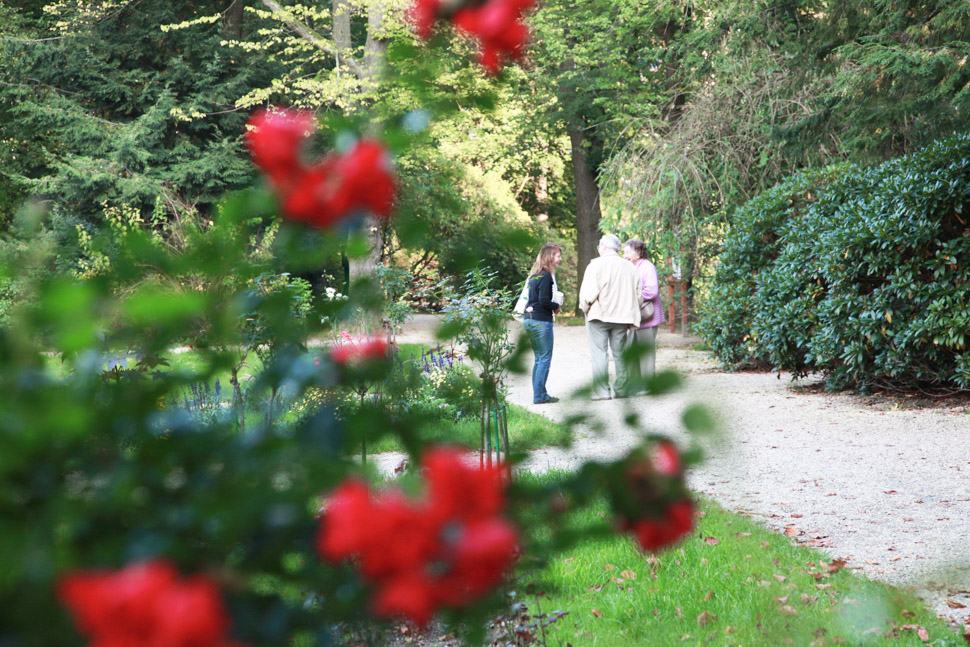 Bewohner gehen im Garten der Alloheim Senioren-Residenz Haus am See in Bad Elster spazieren