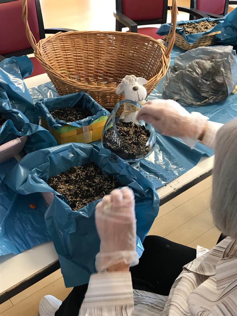 Bewohnerin beim säen von Ostergras