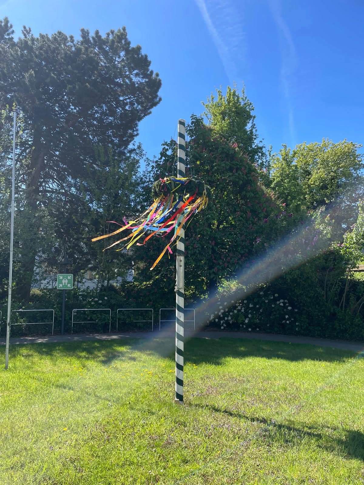 Maibaum in Garten