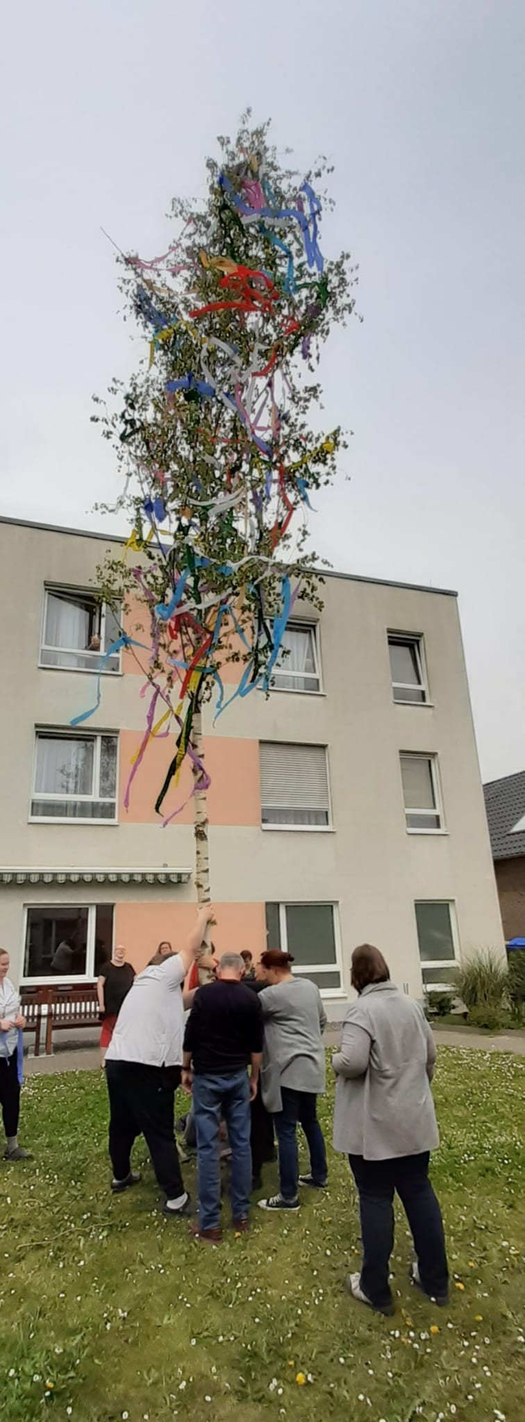 Maibaum stellen