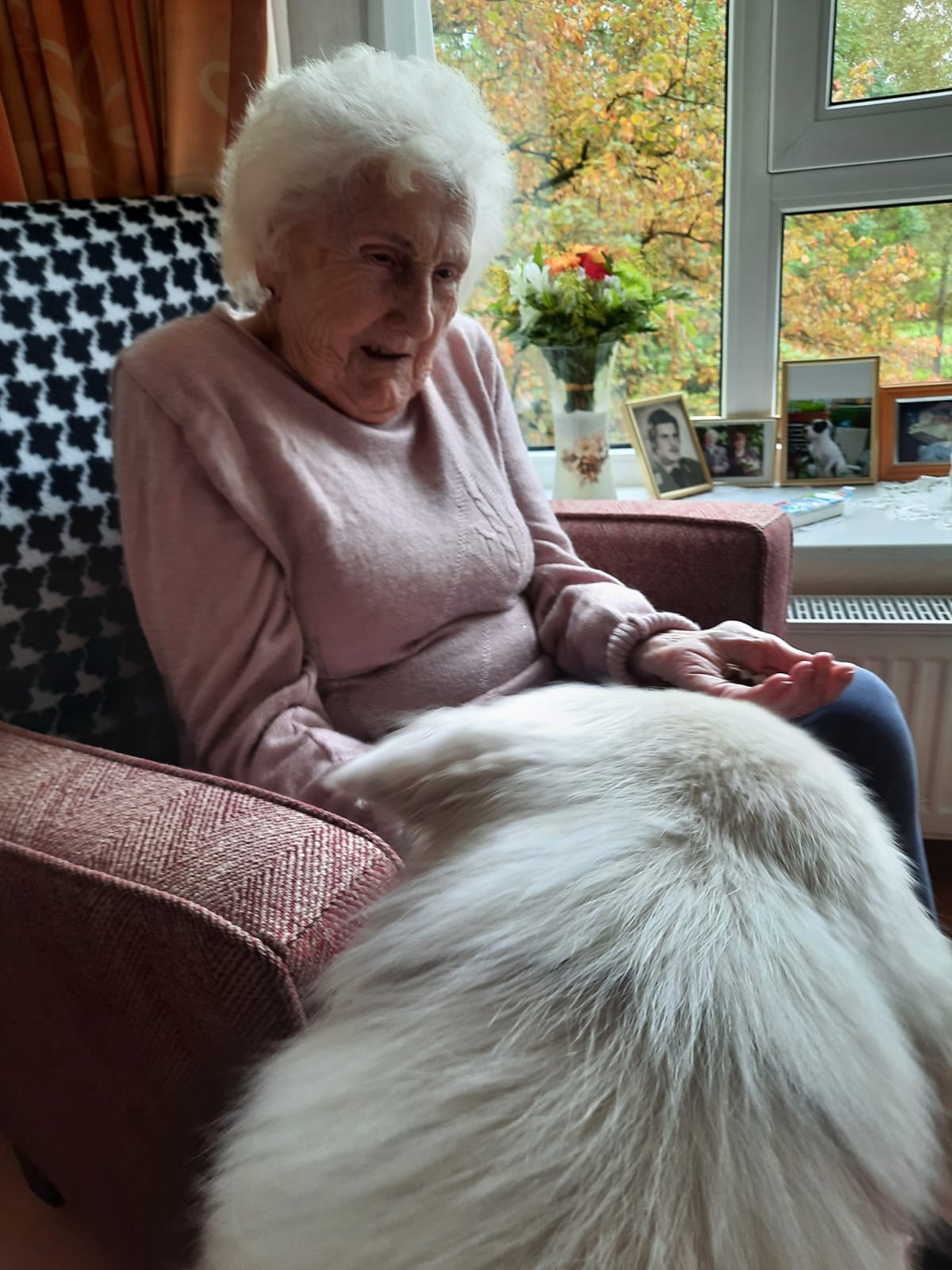 Seniorin gibt Besuchshund Leckerlis im Seniorenheim "Kapernaum" in Hamburg