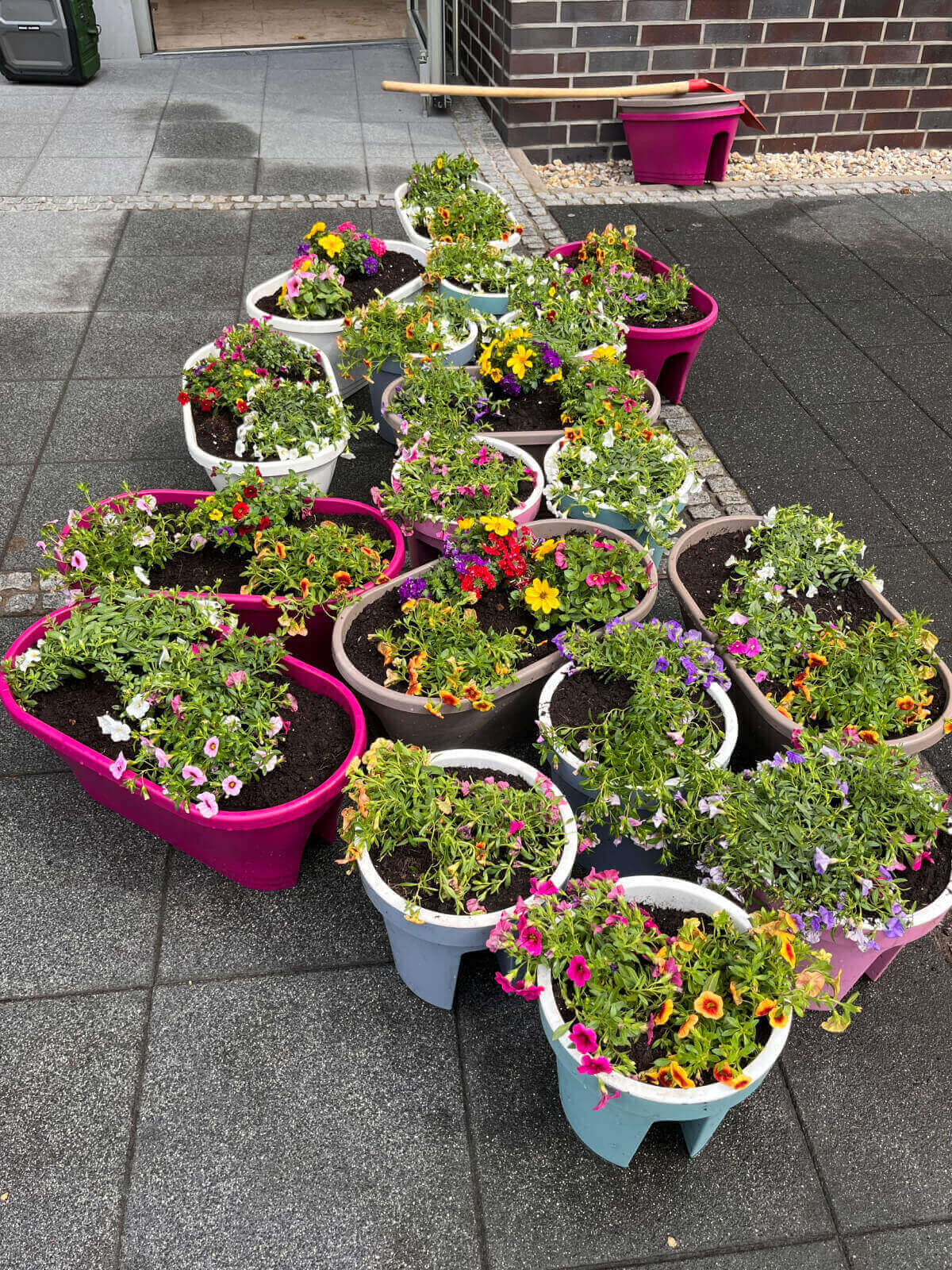 Balkonkästen für die Balkone bepflanzt mit bunten Blumen