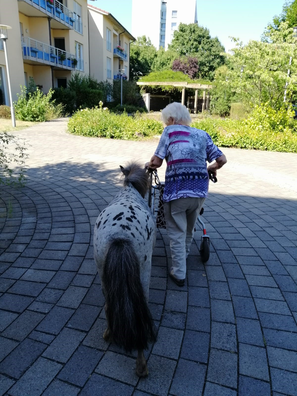 Bewohnerin die mit einem Pony spazieren geht