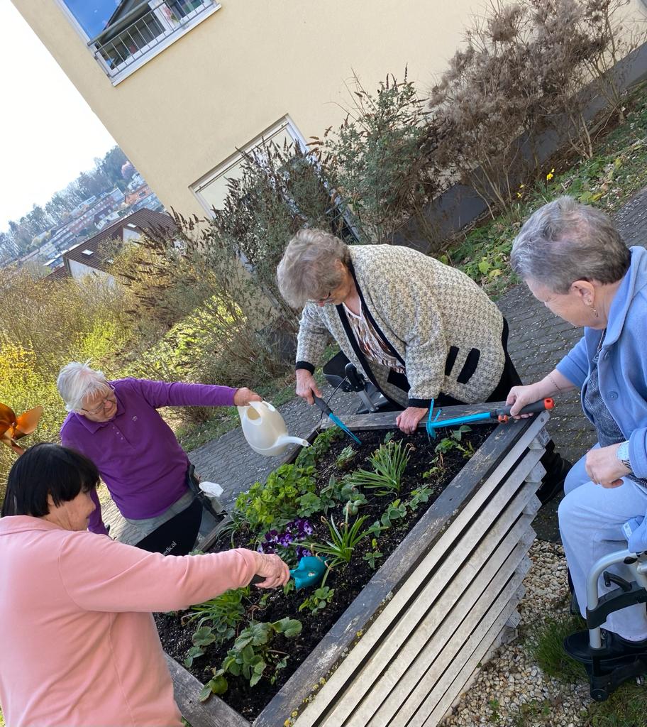 Bewohner des Seniorenheims in Marktheidenfeld gärtnern gemeinsam am Hochbeet